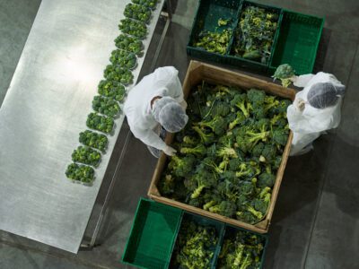 Top view of employees in latex gloves and gauze caps working in a broccoli packaging department